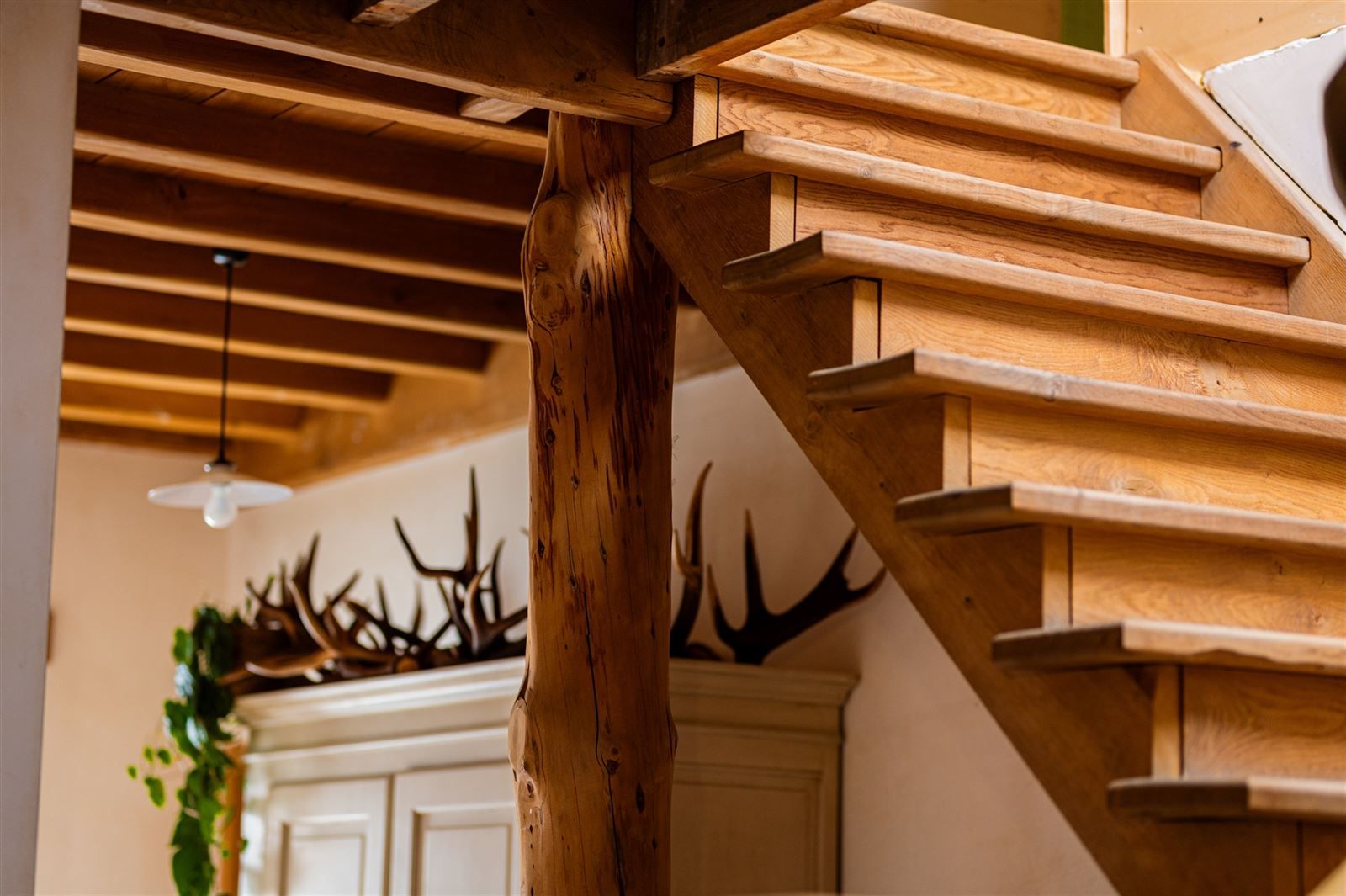 Charmante hoeve met tal van mogelijkheden! foto 14