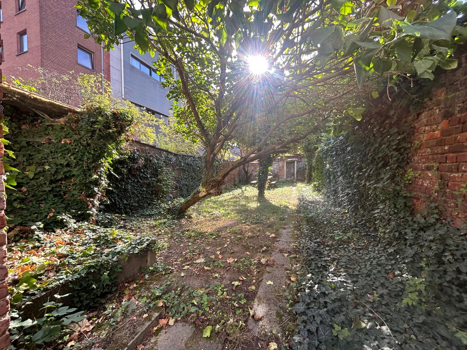 CO-HOUSING TE LEUVEN! foto 3