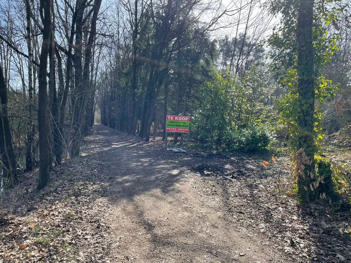 Verblijfsrecreatie met vijver foto 2