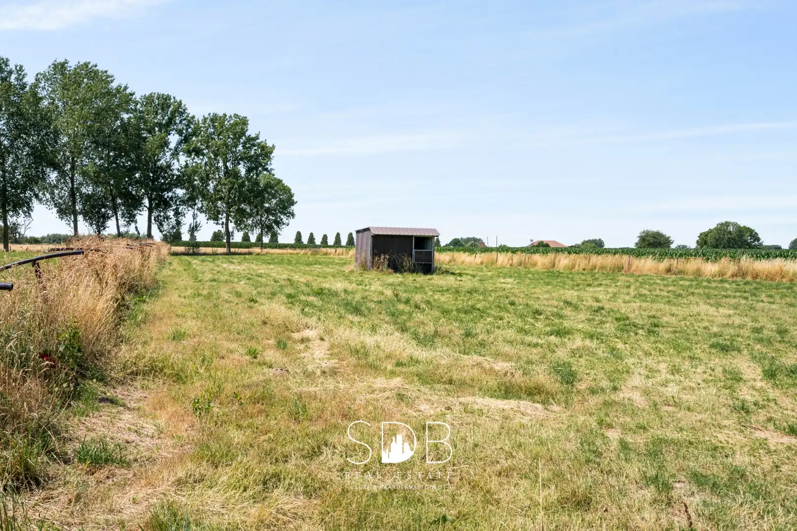 Charmante hoeve met bijgebouwen en graslanden op 1.5114m² foto 22