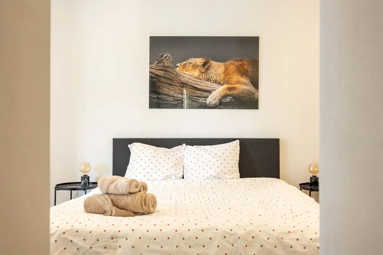 Wonen aan het Zuidpark, met de stad altijd dichtbij foto 13
