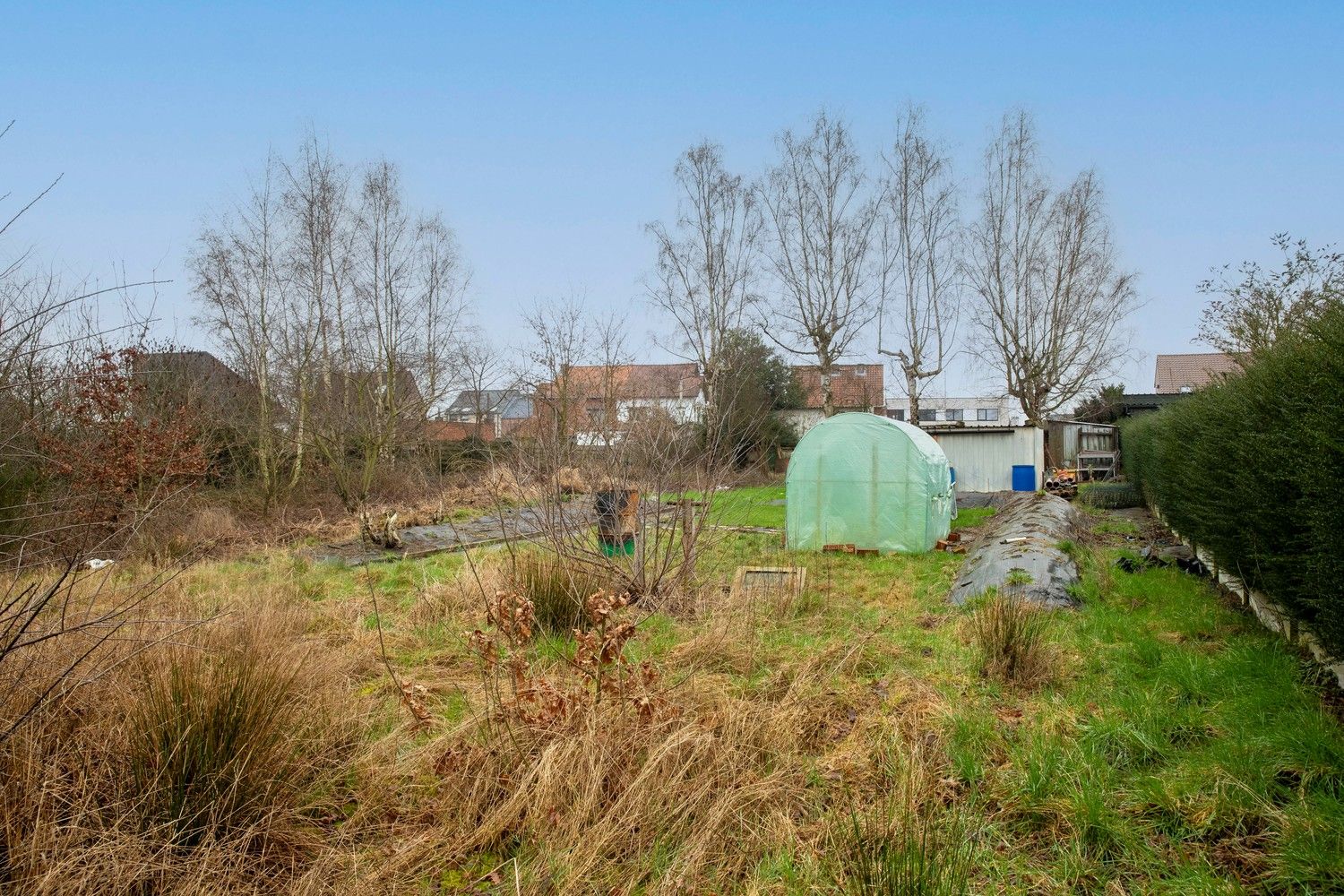 Te renoveren woning met veel mogelijkheden op een ruim perceel van 32a40ca te Lanaken! foto 10