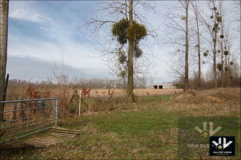 11,5 hectaren landbouwgrond foto 11