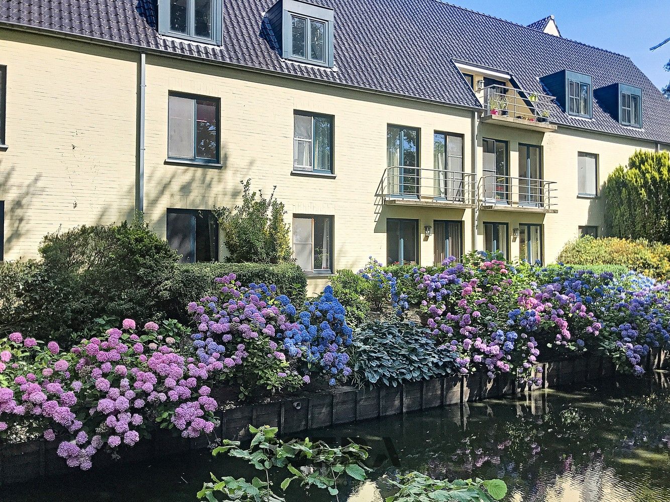 Instapklare assistentiewoning in residentie Ter Walle foto 17