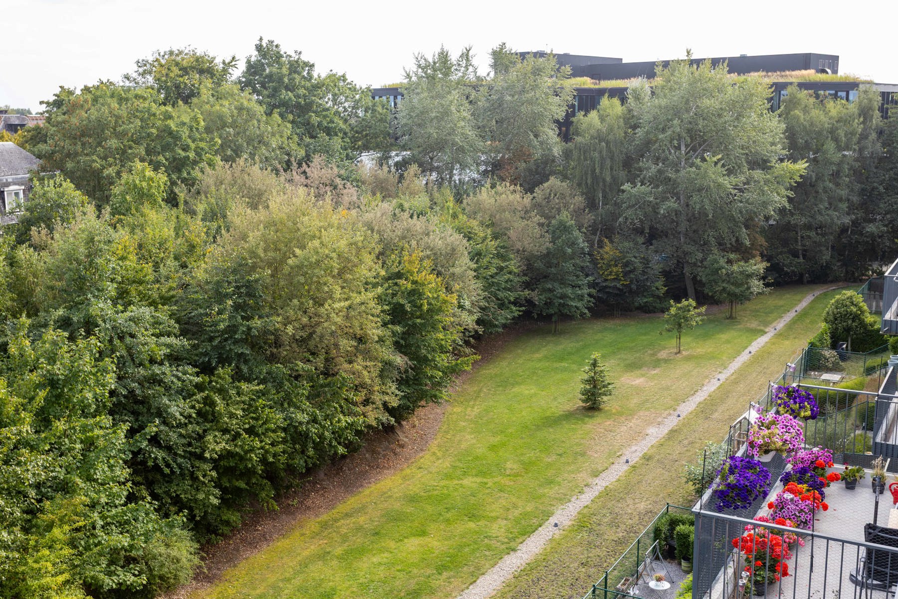 Zonnige penthouse , 2 slpk, met ruim terras  foto 20