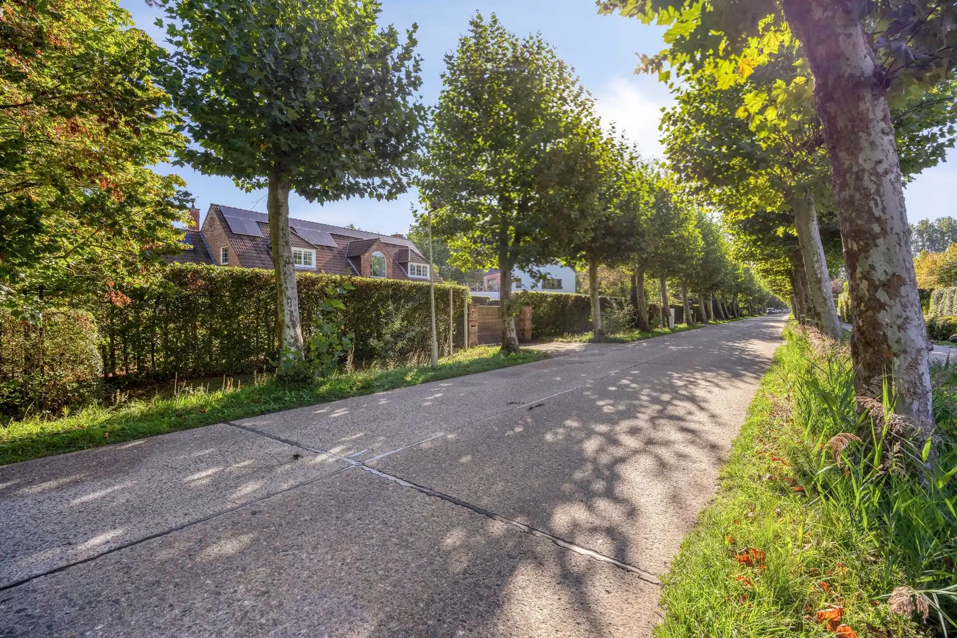 Prachtig gerenoveerde villa met 4 à 5 slpks en zwembad te Schilde foto 43