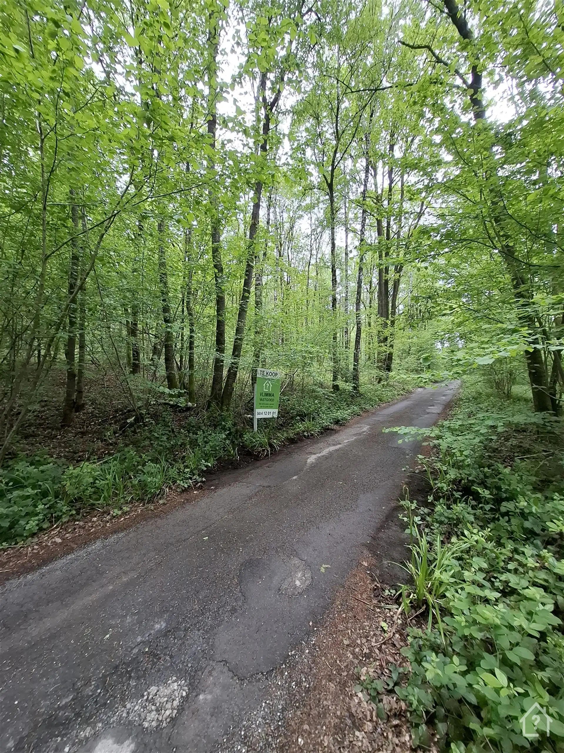 Recreatiegrond midden in het Groene Hart van de Ardennen foto 8