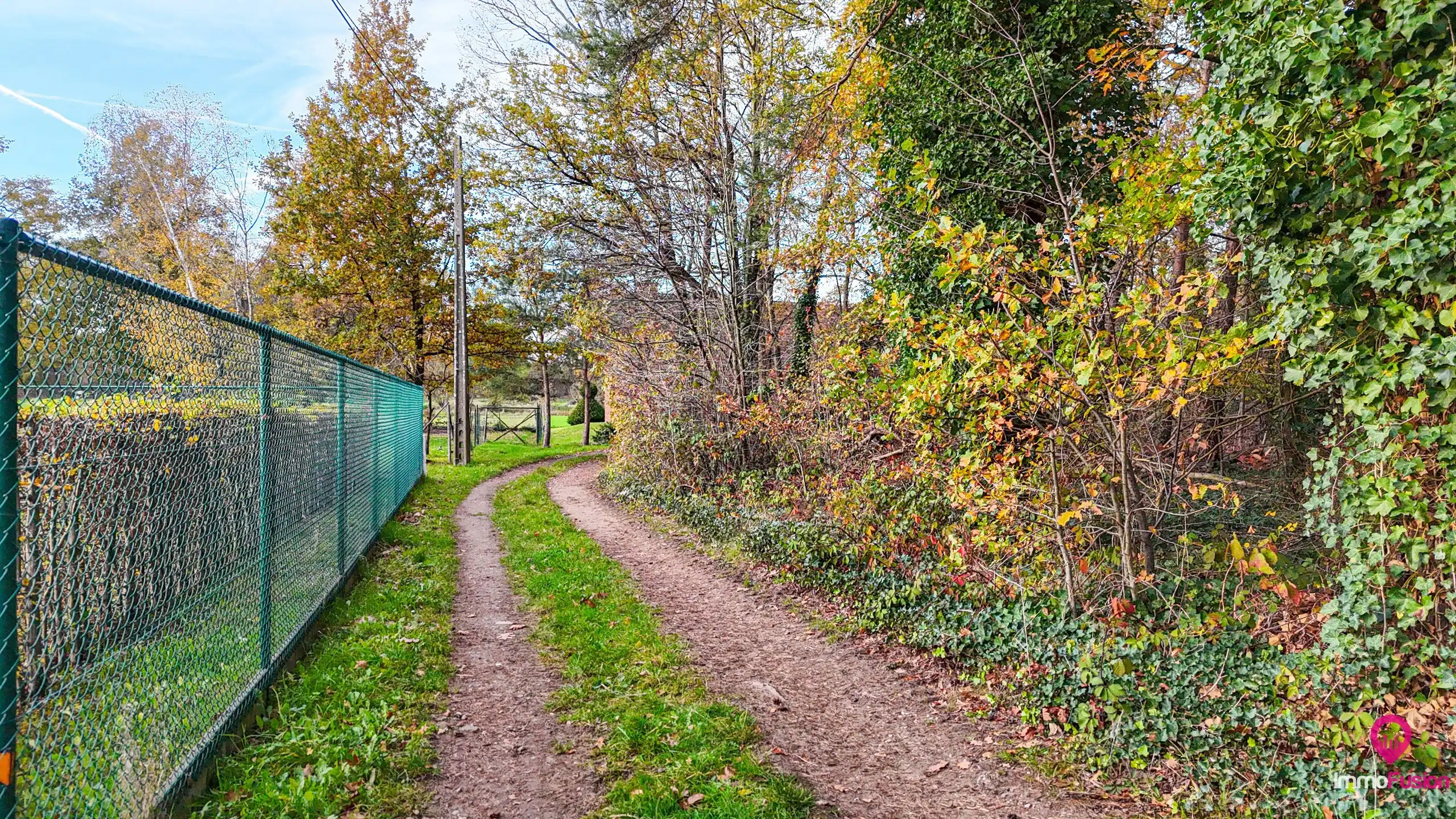 Exclusieve hoeve op 40are met bosrijke ligging te Paal! foto 51