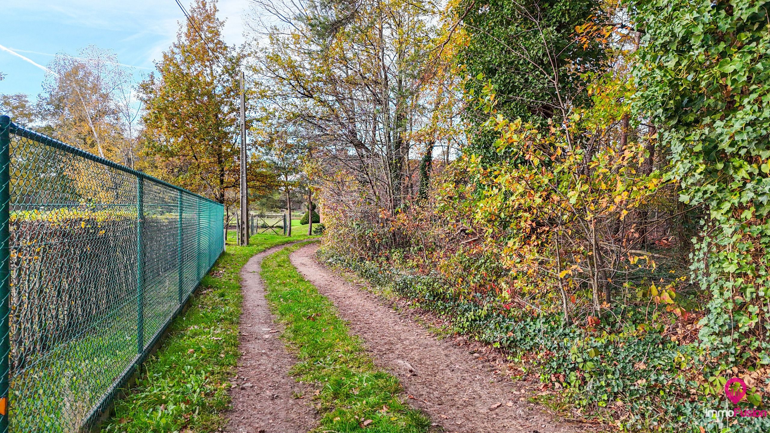 Exclusieve hoeve op 40are met bosrijke ligging te Paal! foto 51