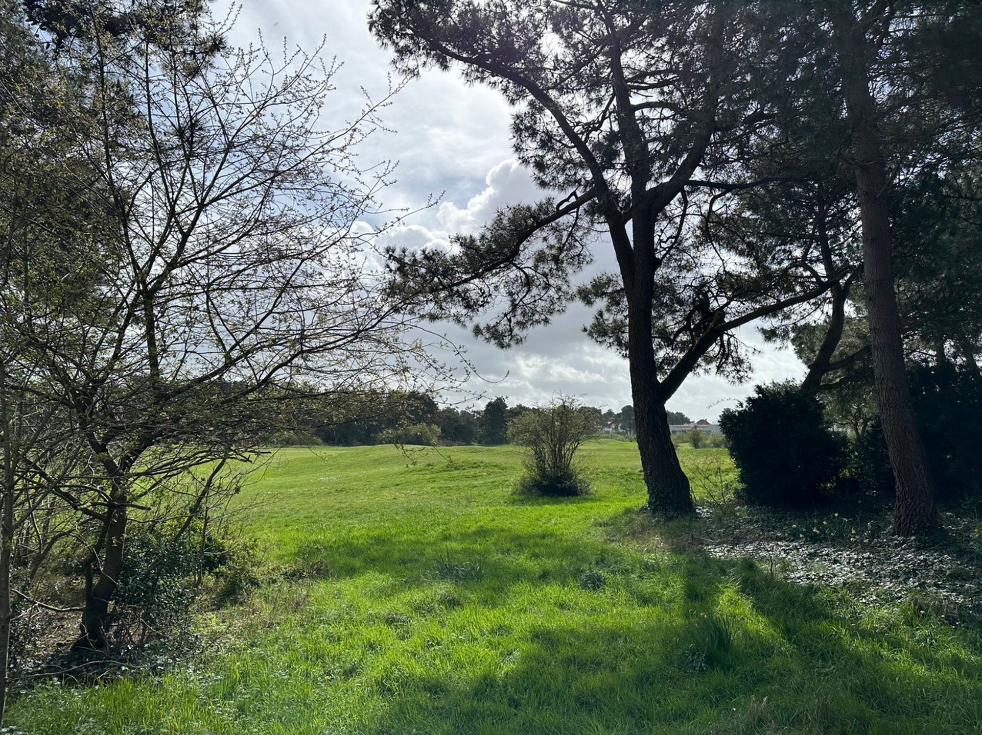 Koppelvilla met uniek zicht op de "Royal Zoute Golf Club"... foto 14