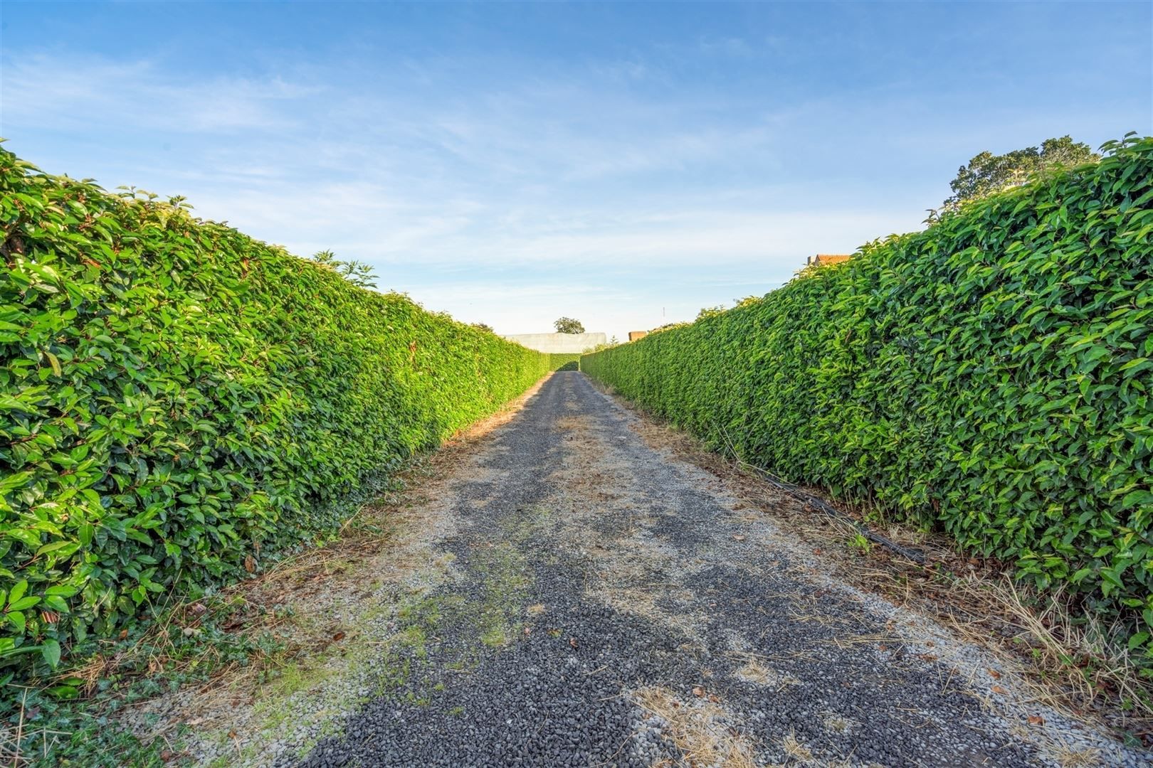 Huis met 2 garages foto 14