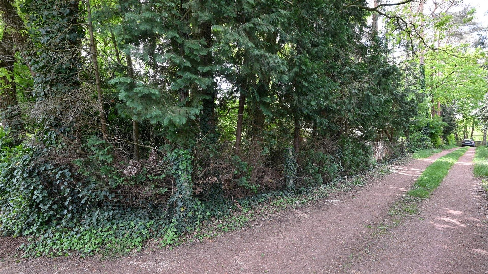 ()=>{if(producerUpdateValueVersion(node),producerAccessed(node),node.value===ERRORED)throw node.error;return node.value} Vondelweg 69 - - 3118 Rotselaar (Werchter)
