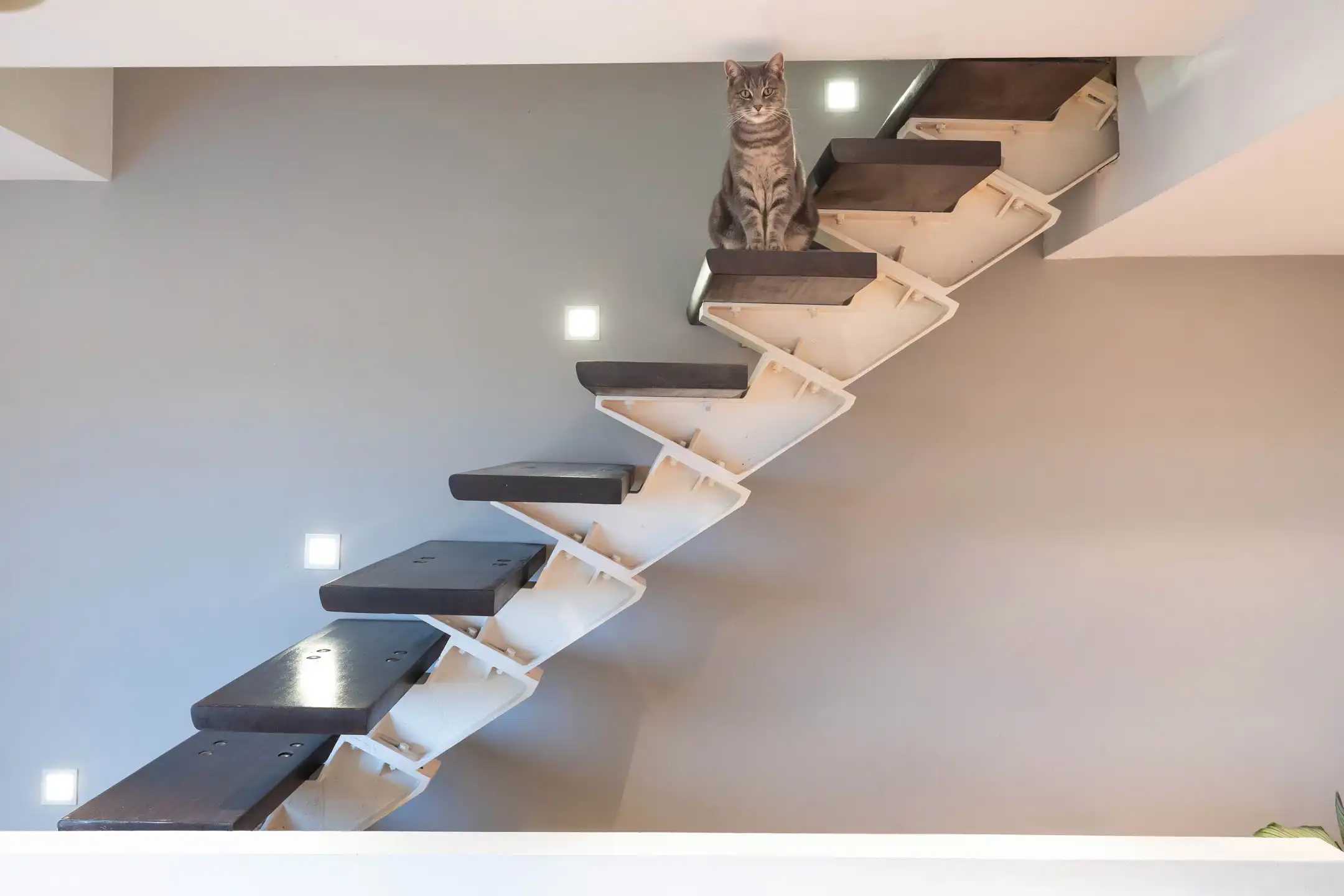 Linkebeek, charmant huis met 3 slaapkamers foto 12