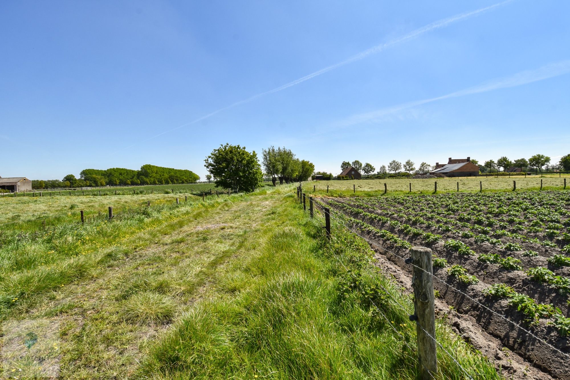 LANDELIJK gelegen woning met bijgebouw, stalling en WEILAND op 7.421 m² foto 8