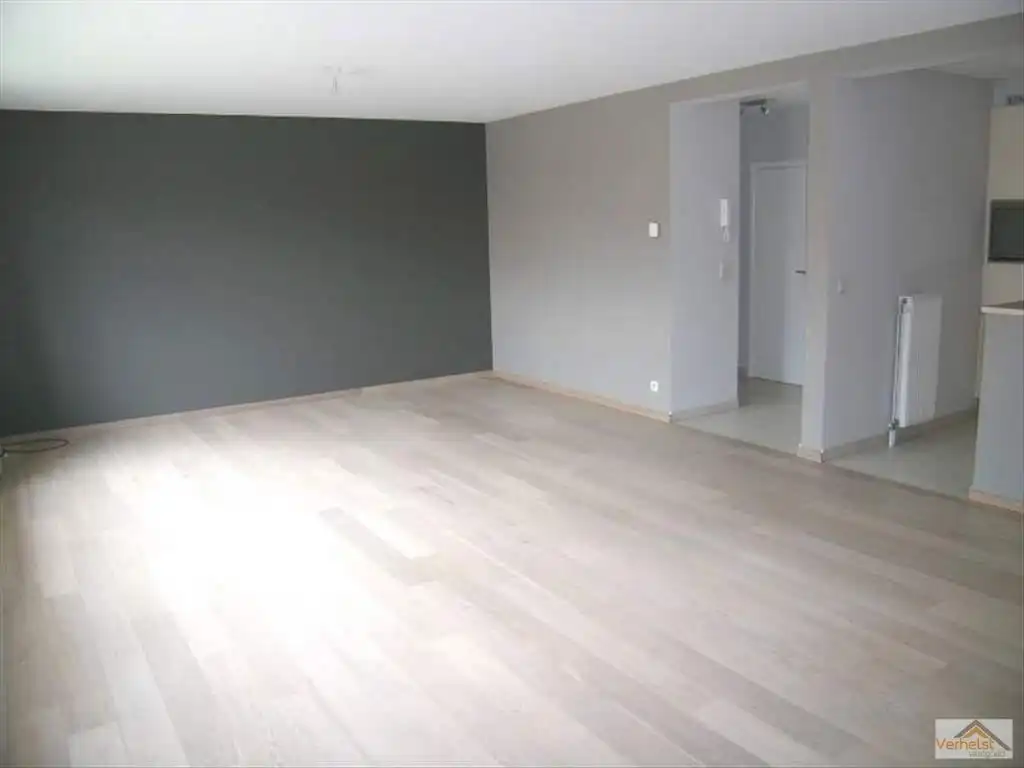 Comfortabel appartement met terras en garage foto 3