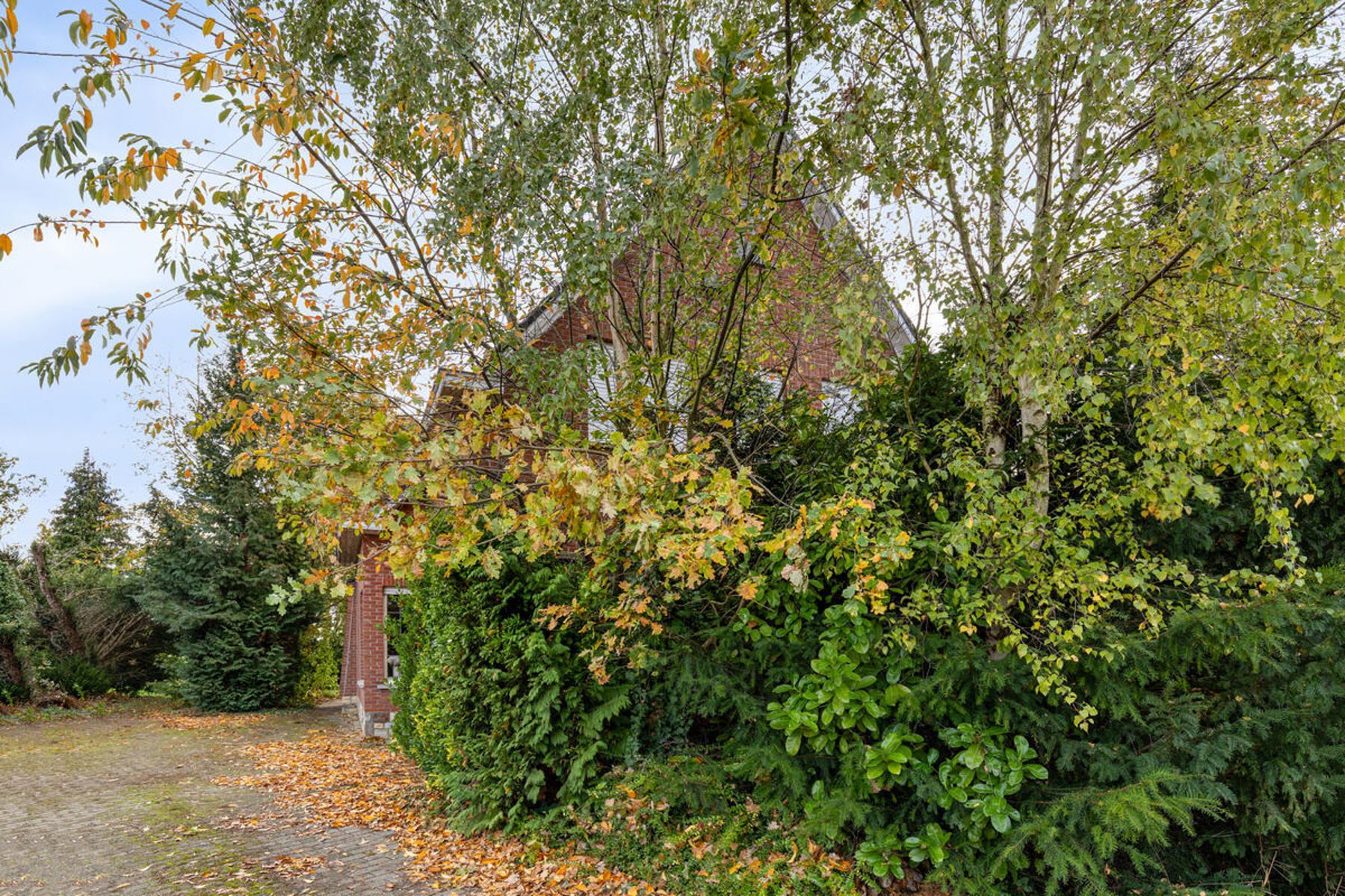 Te renoveren open bebouwing (mog. optioneel achterliggend bouwland) foto 4