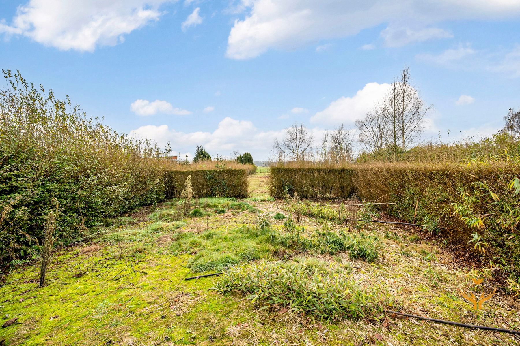 Ruime woning nabij het Donkmeer en Overmere centrum foto 2