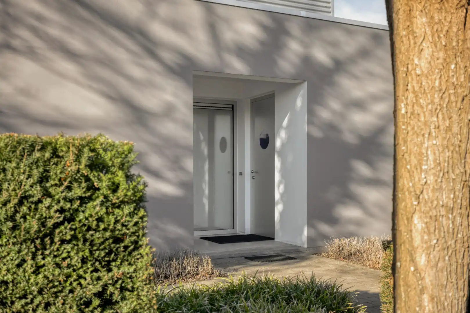 Gelijkvloerse architectenwoning met uitzonderlijke lichtinval op 742 m² foto 2