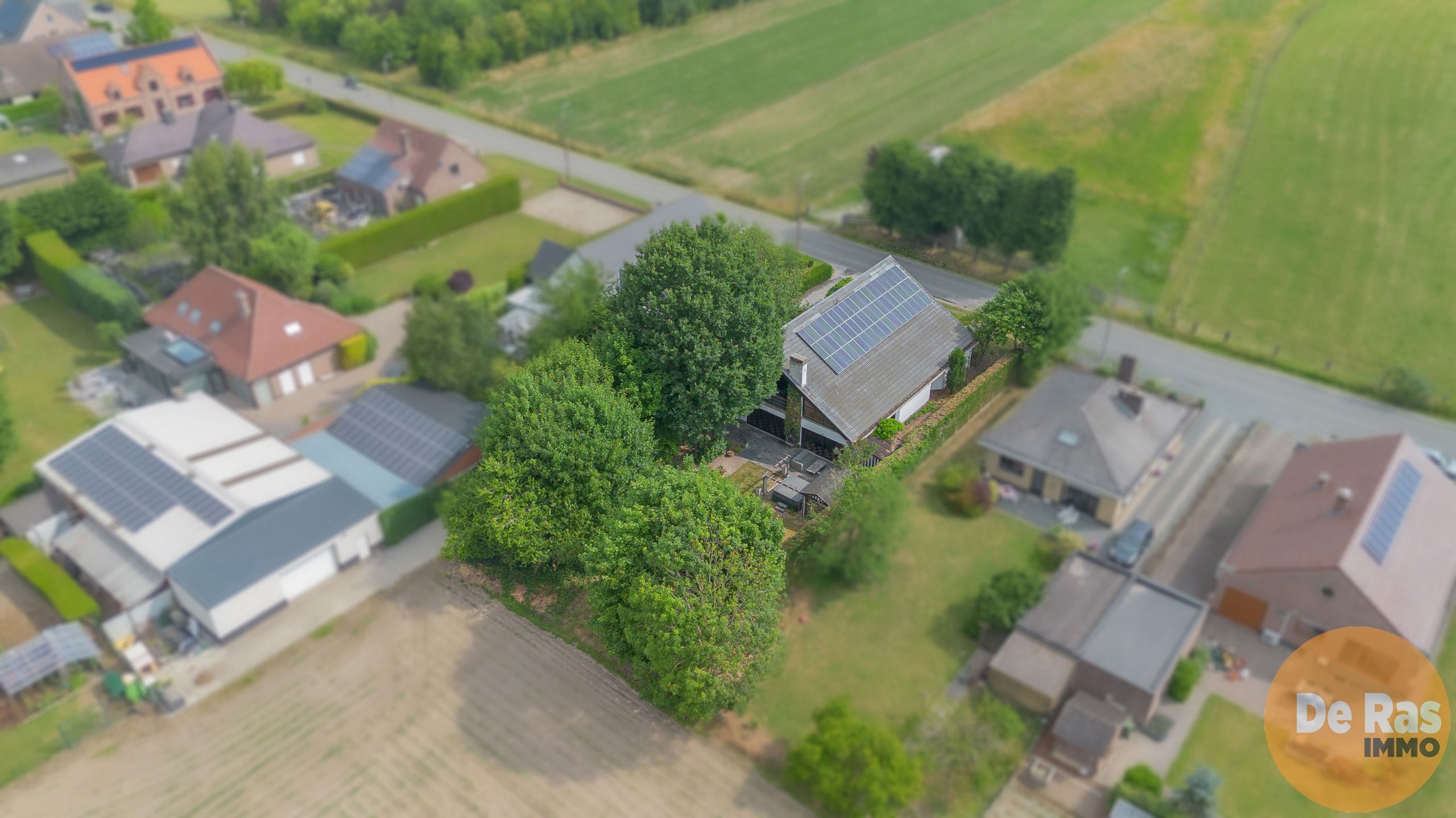 WICHELEN - Buitengewone woning met 3 slaapkamers foto 4