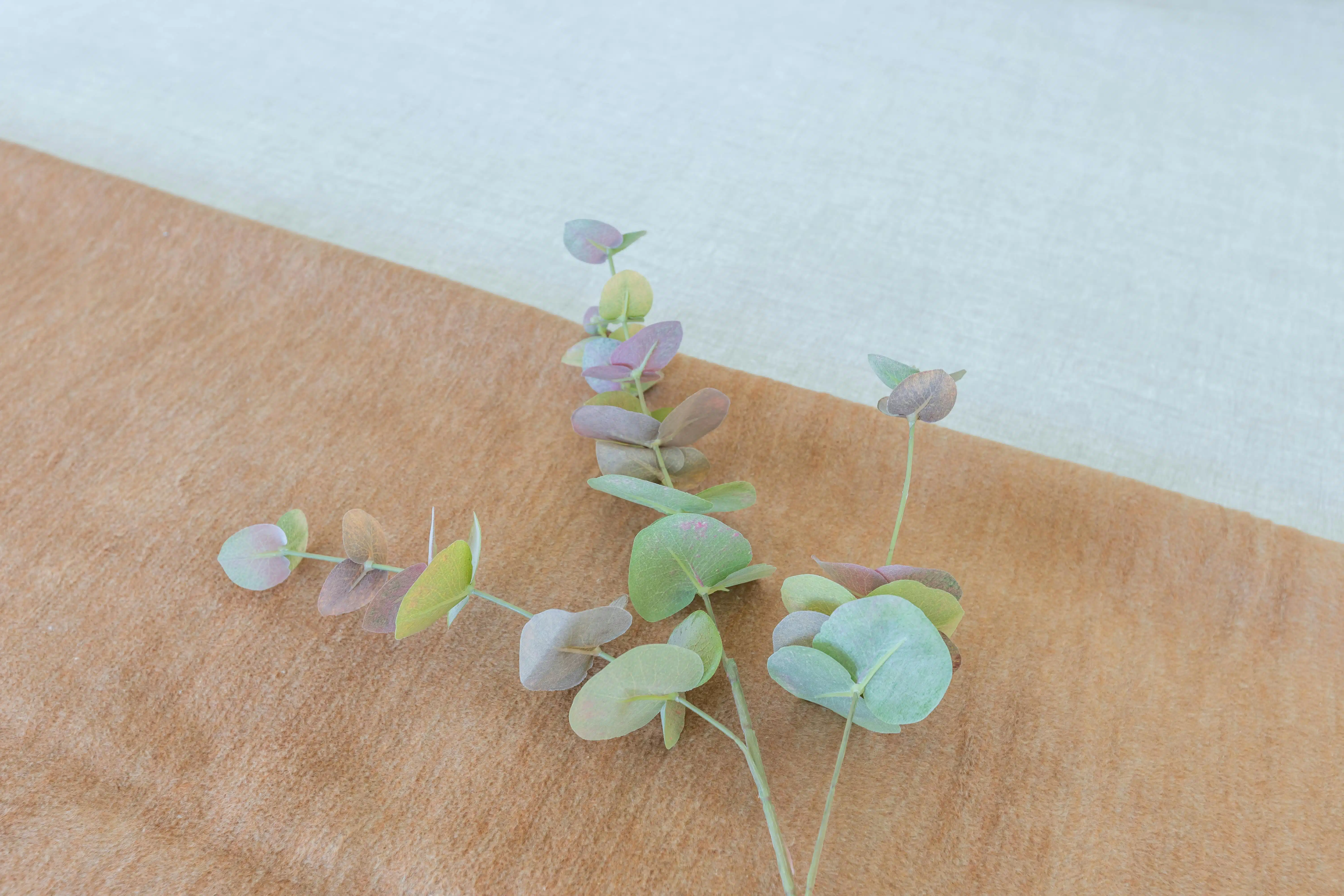 Schitterend appartement TROON 17  foto 68