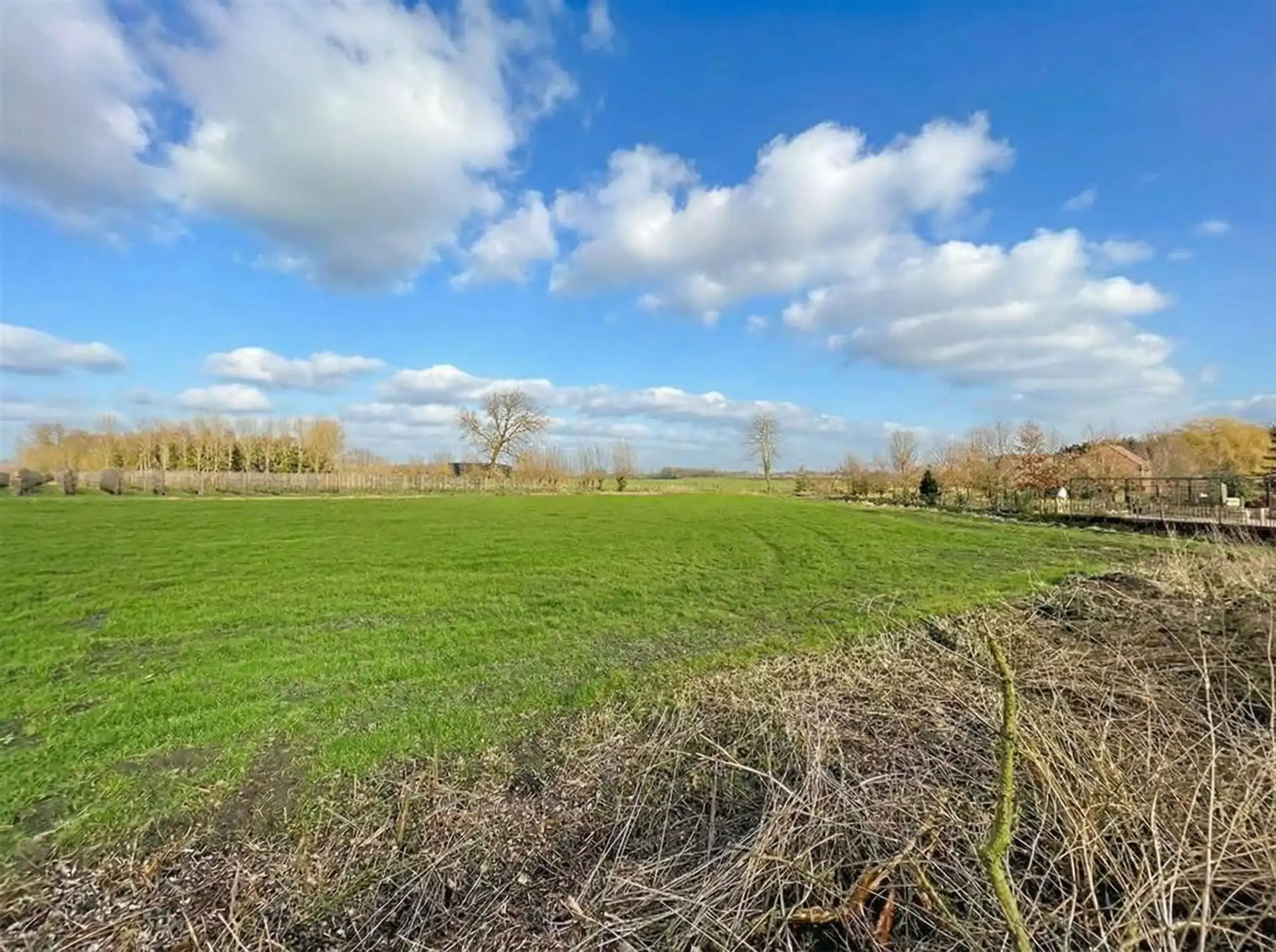 te renoveren woning met schuur op prachtig perceel bouwgrond van 2.230m² foto 7