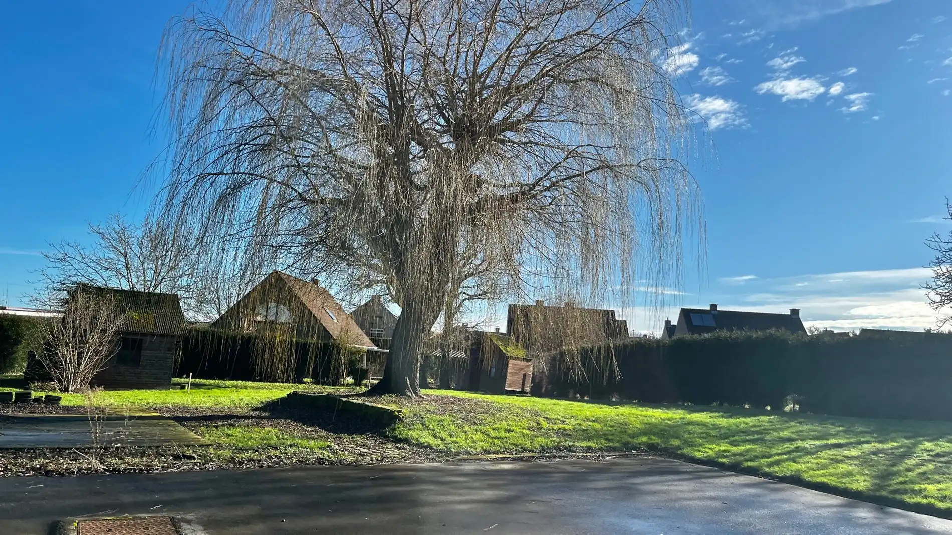 Grote woning op 1518 m² met 5 kamers & een grote garage foto 2