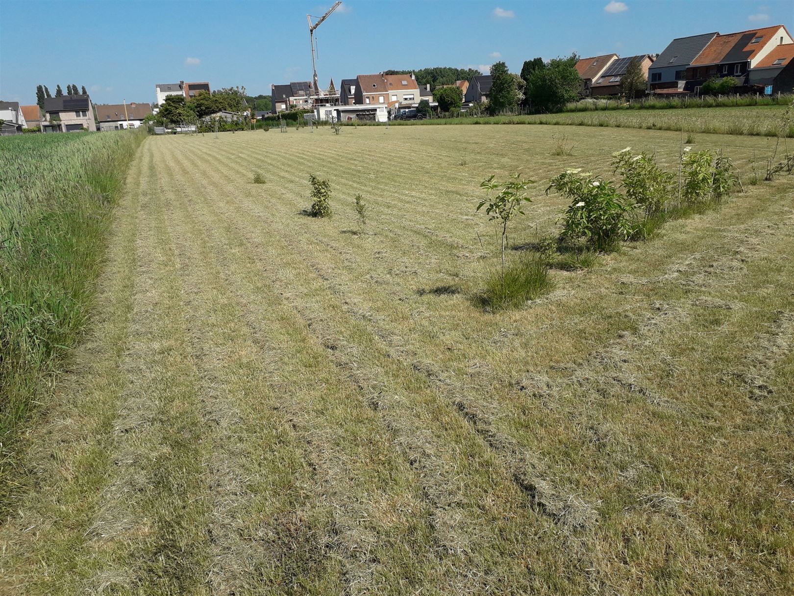 Grond gelegen in woonuitbreidingsgebied foto 2