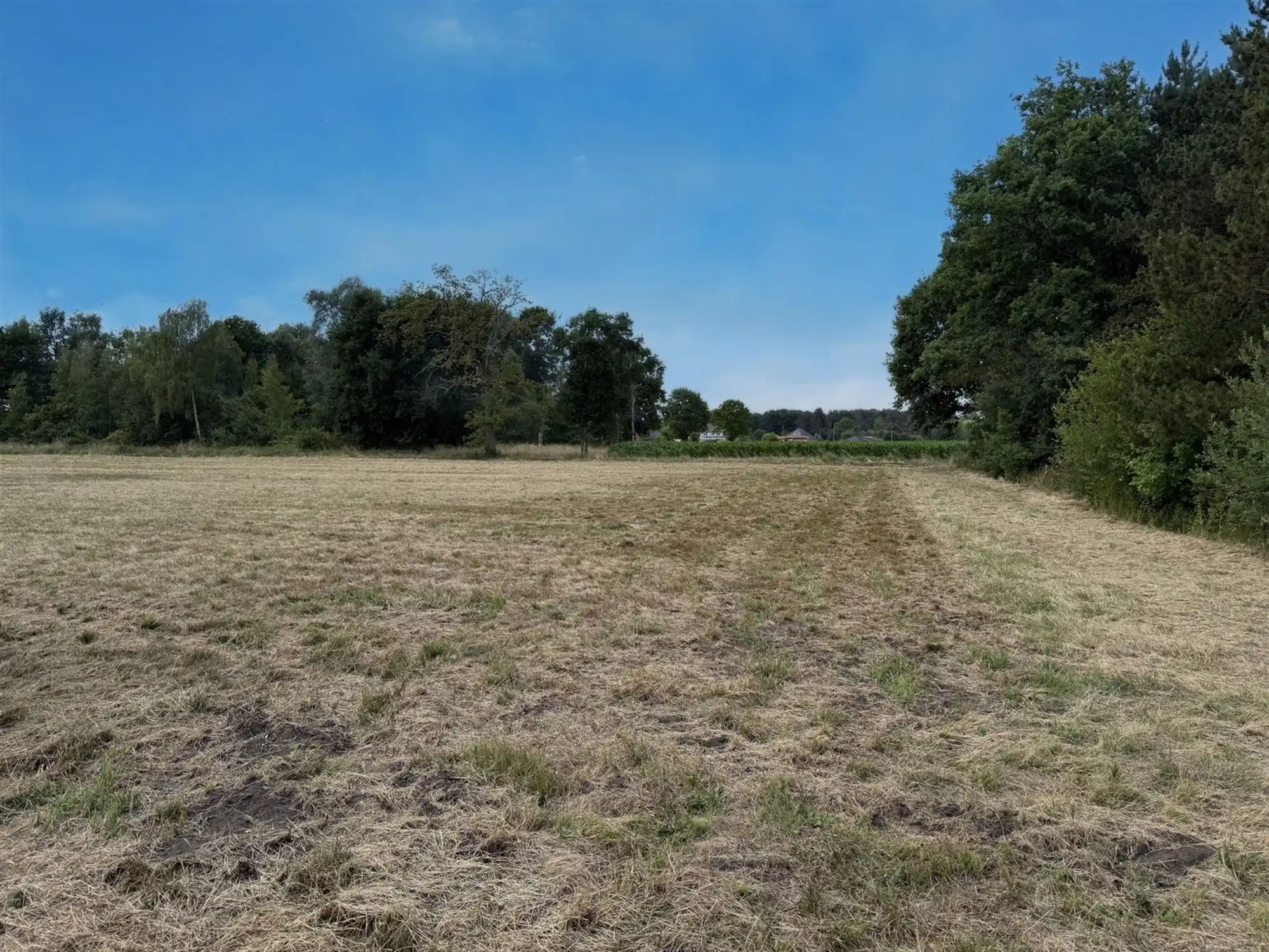 Landbouwgrond te koop in Schriek! foto 3