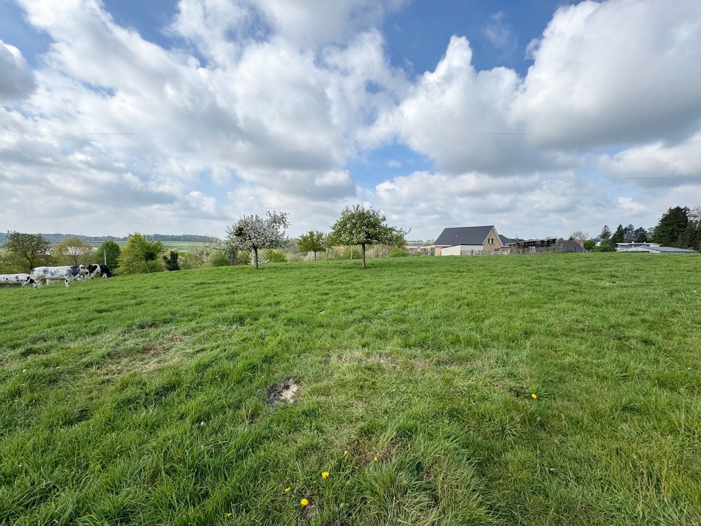 Luxueuze villa op een domein van 1,5 hectare met adembenemend uitzicht en topafwerking foto 11