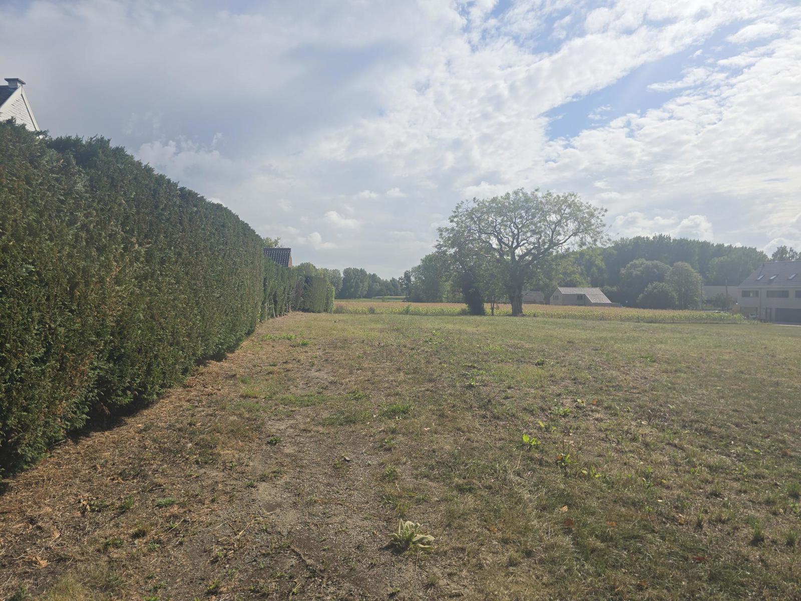Exclusieve bouwgrond te koop foto {{pictureIndex}}