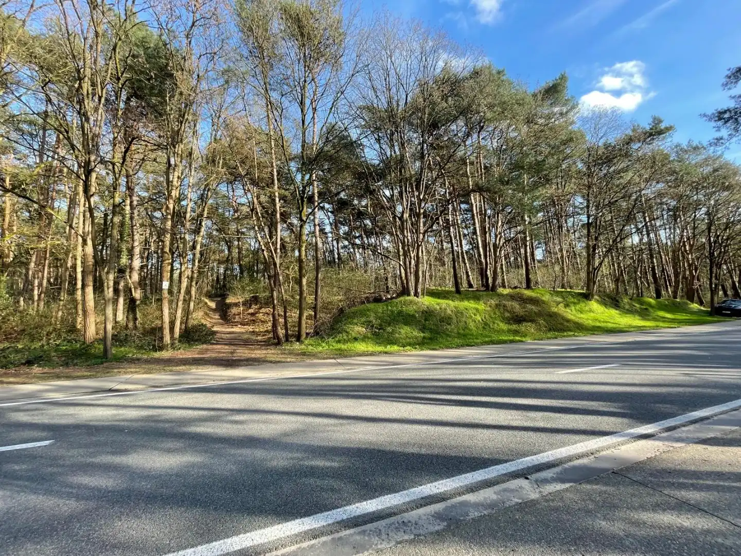 EXCLUSIEF PRIVÉ BOS VAN 2,7 HECTARE – MOL (DE ROOY) foto 3