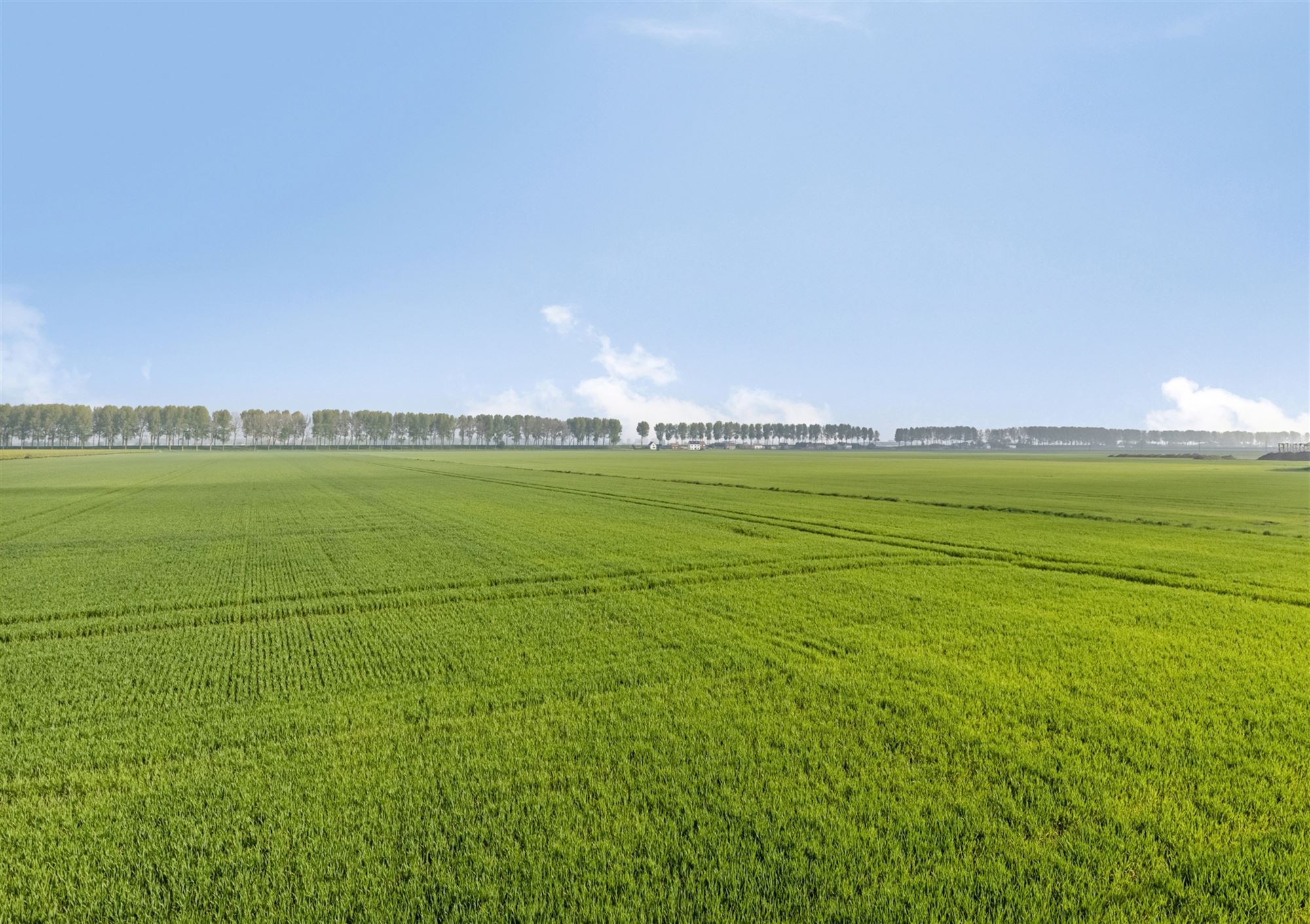 Landelijk en rustig gelegen huis (270m²) op een perceel van 1.887m²  foto 3