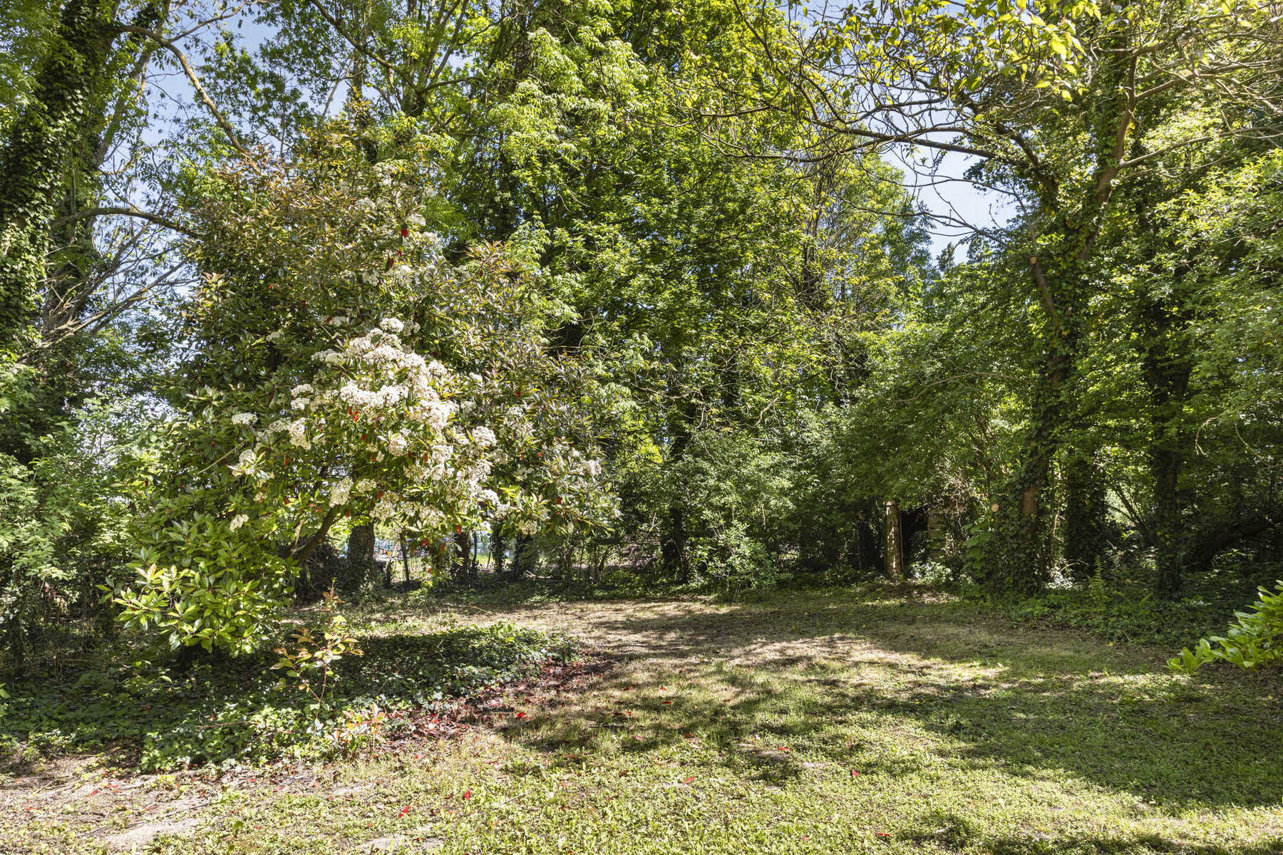 Te renoveren villa op 26a met 5 slaapkamers + praktijkmog. foto 23