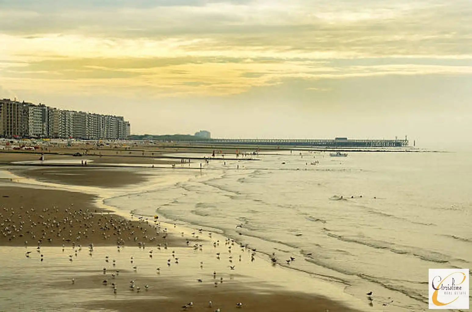 Karaktervol investeringspand op topligging in Blankenberge  foto 11