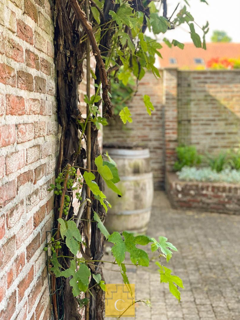 charmante stadswoning met flinke tuin en fietsenpoortje, rustige ligging op St Gillis foto 14