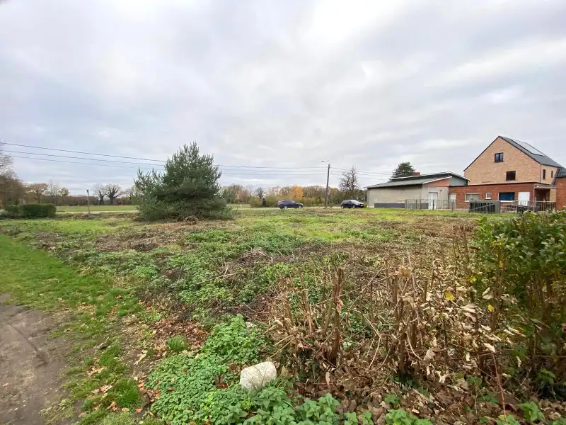 Ruime bouwgrond van 1.114 m² voor open bebouwing in Meerhout-Zittaart foto 6