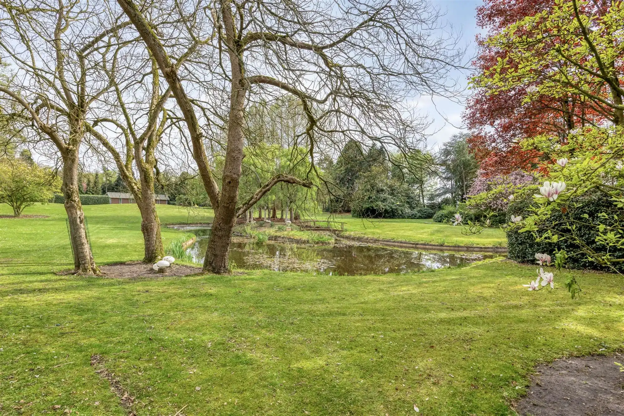 Exclusief landgoed met allure op parkdomein in Pelt foto 100