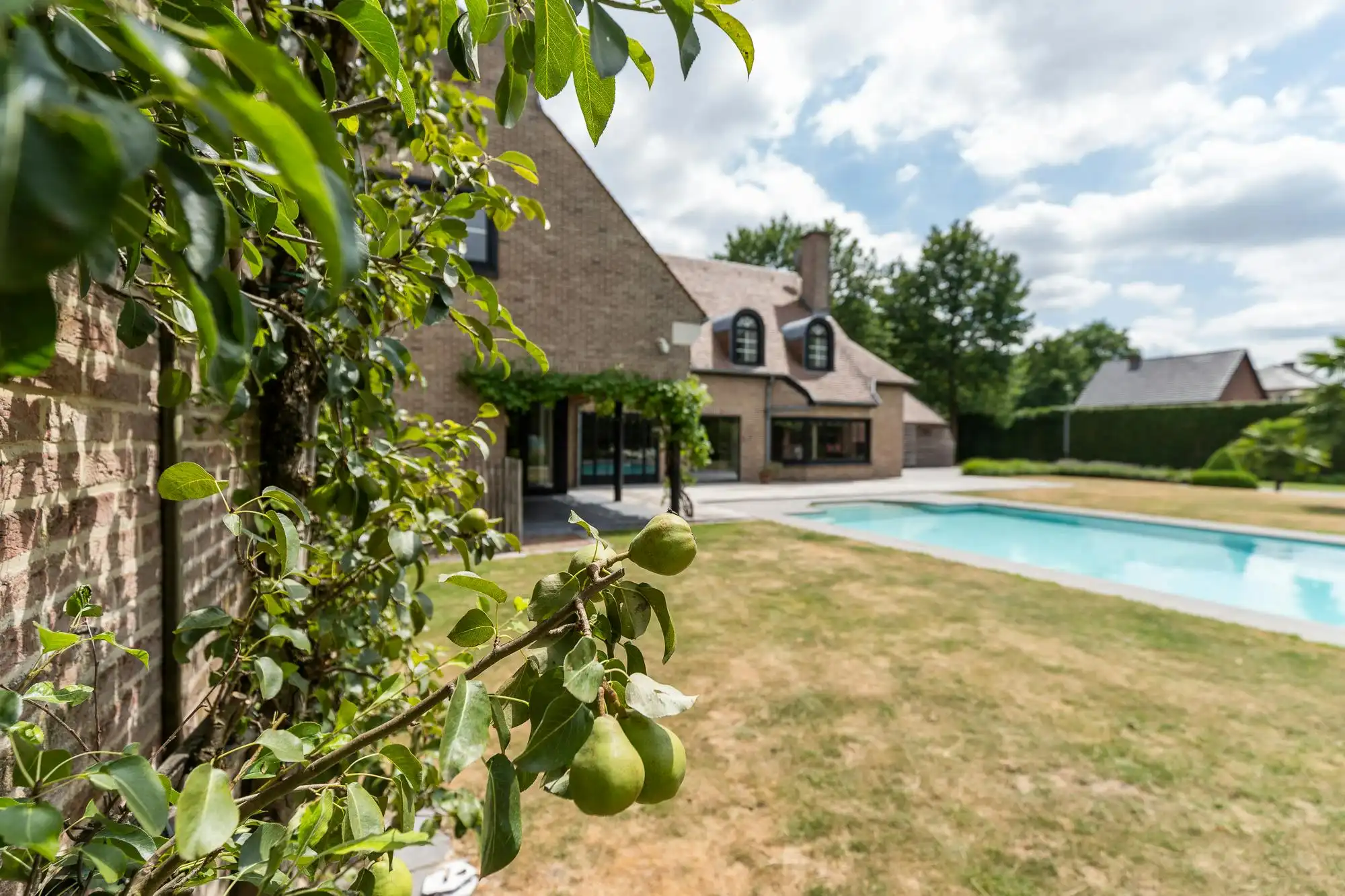 Exclusieve designvilla op toplocatie in Sterrebos foto 3