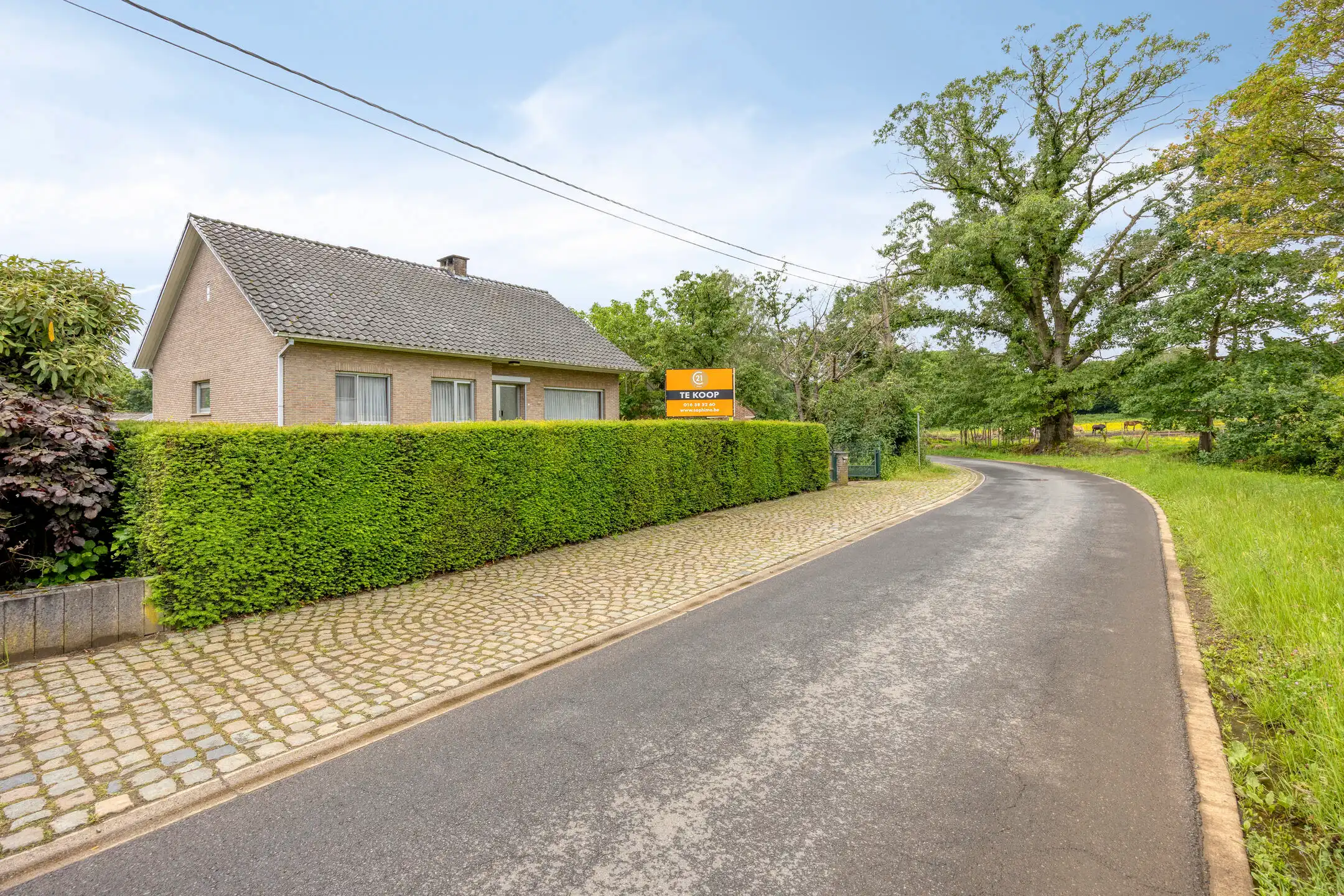 Ruime vrijstaande woning met potentieel foto 26