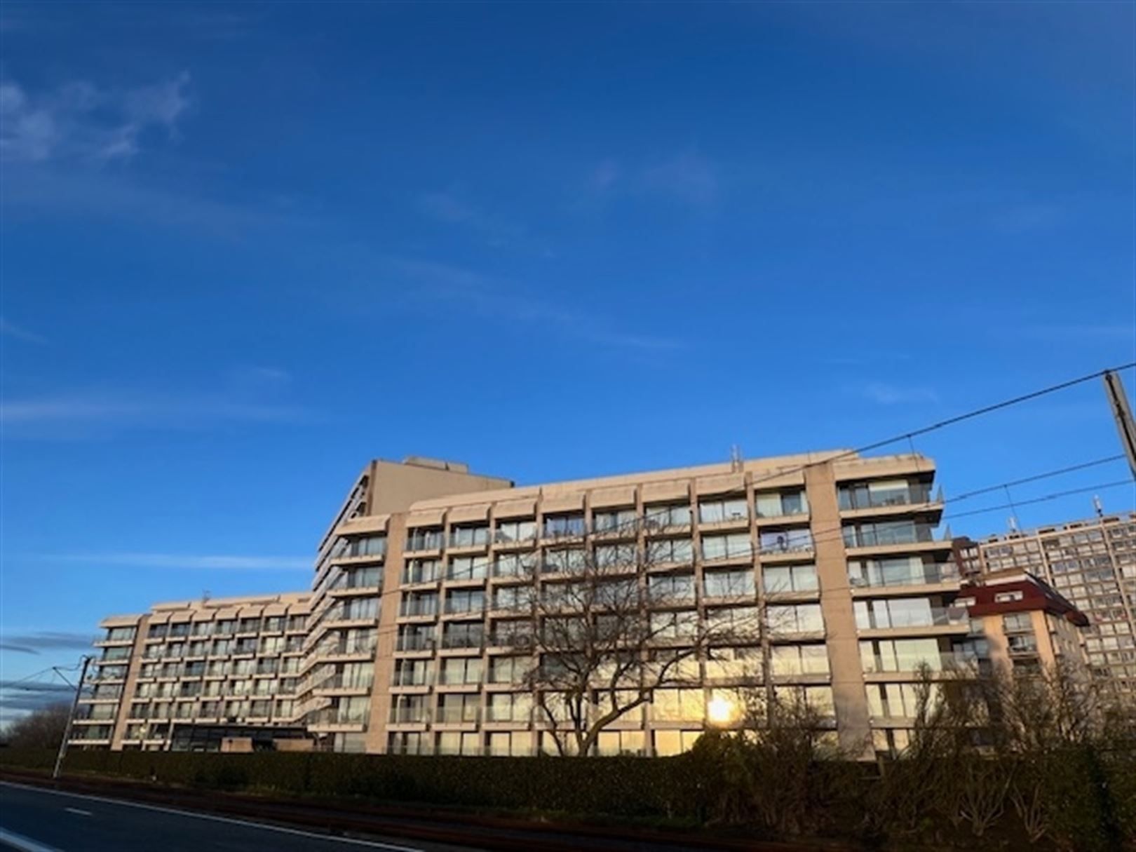 Compleet vernieuwde studio met zicht op duinen zuidgerciht foto 19