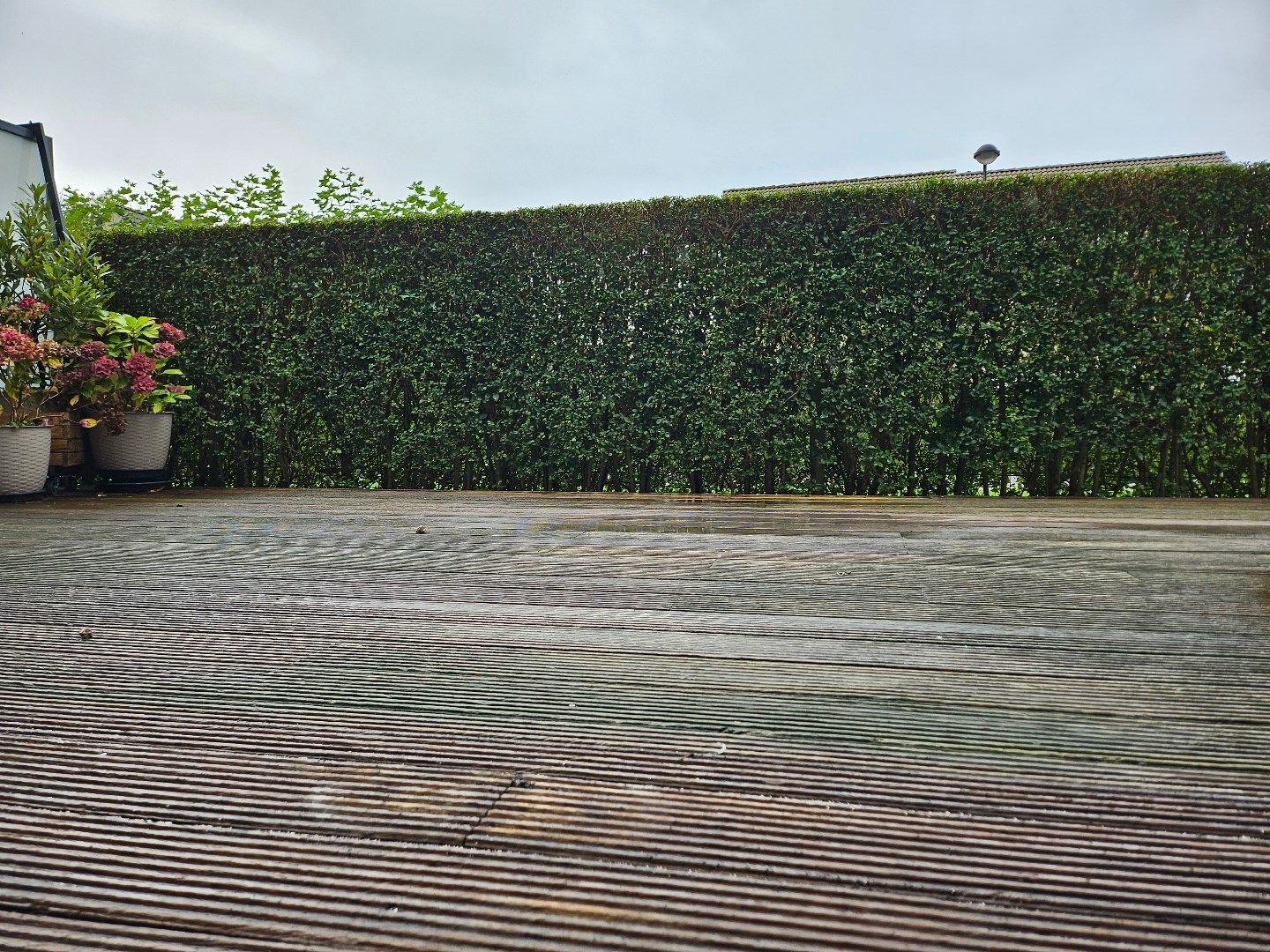 Energiezuinig en recent gelijkvloers appartement met groot zonneterras/tuintje en twee slaapkamers nabij de Damse Vaart foto 8