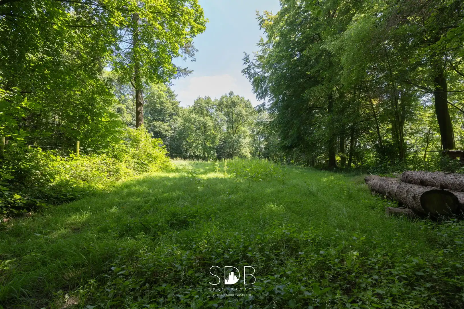 Prachtig kasteel met omringend park, weilanden en stalgebouw op circa 5hectare foto 35