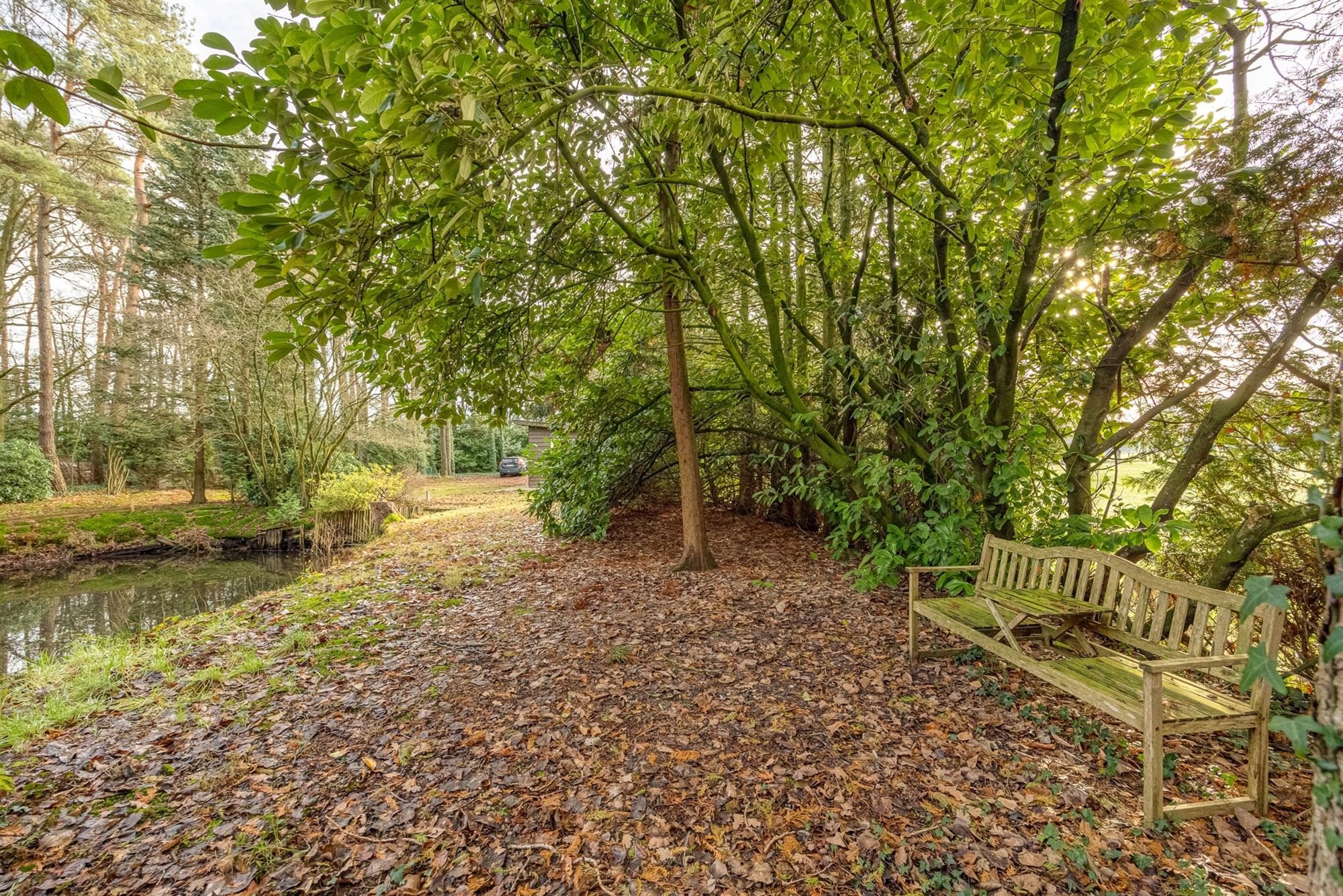 Charmante chalet met privatieve vijver op idyllisch perceel foto 35