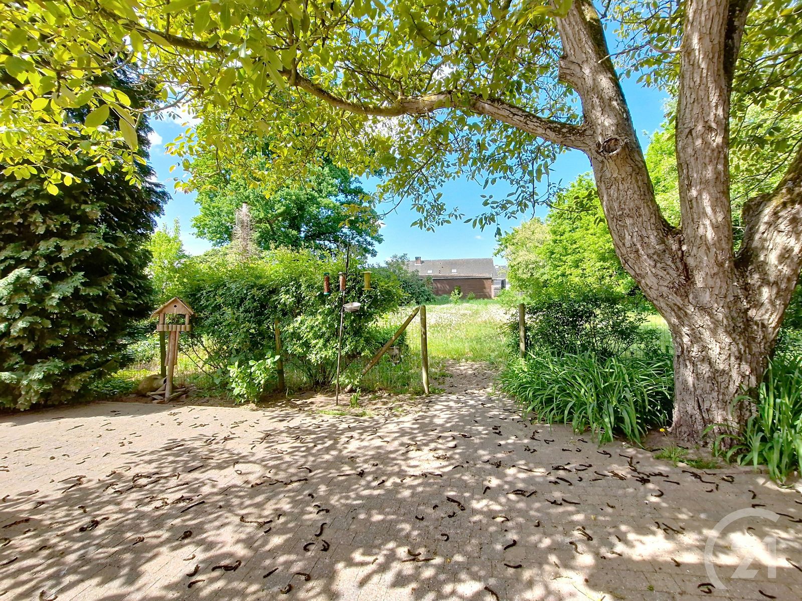 Huis te koop in Tremelo! foto 18
