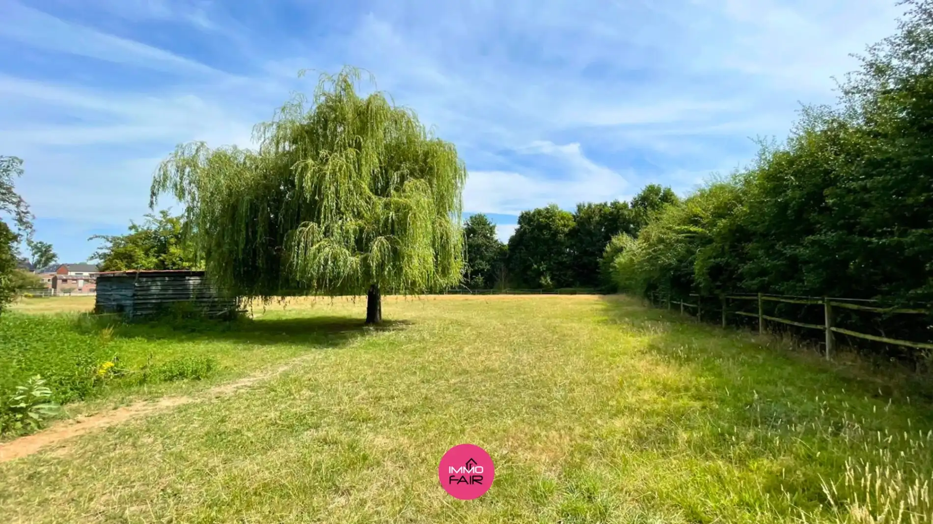 Weiland van maar liefst 6012 m²! foto 3