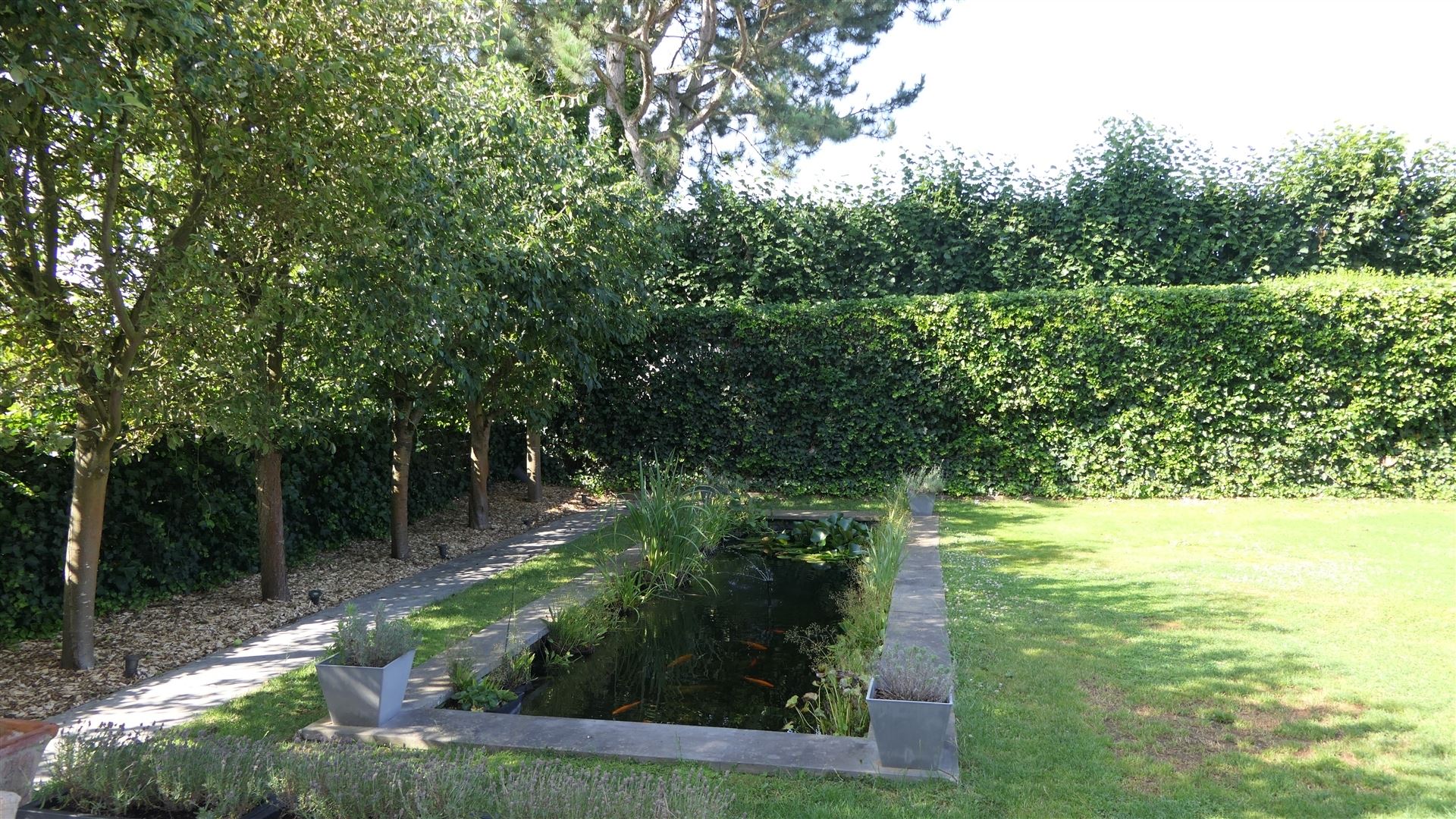 Villa foto 21