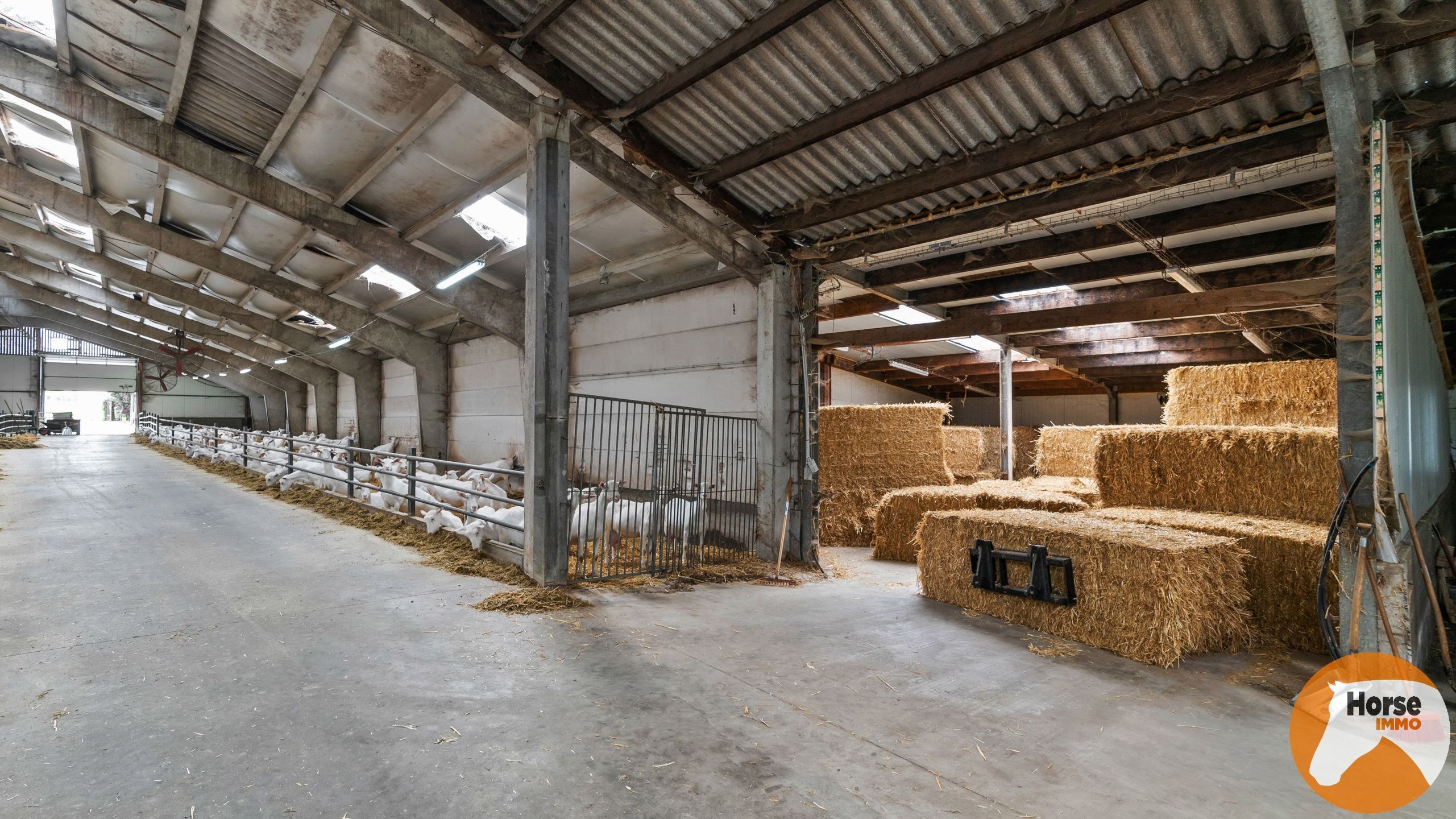 OORDEGEM - Woning met loods op 2,7HA foto 13