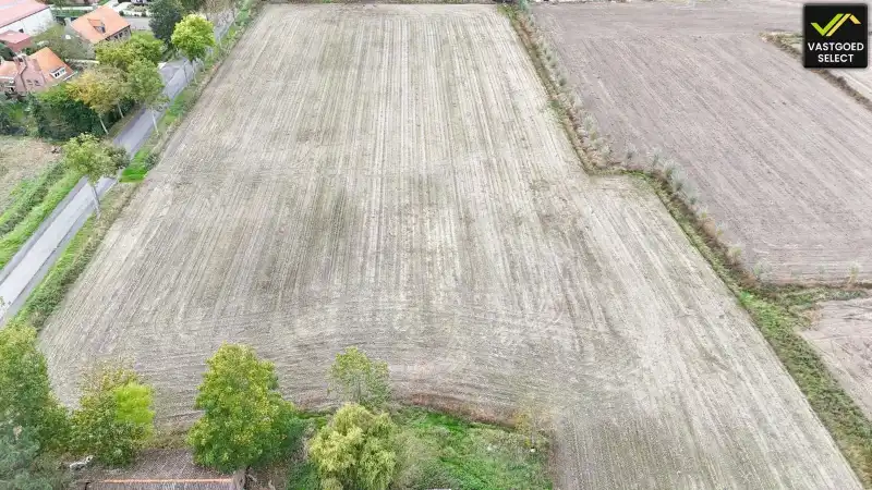 Te koop: Hoeve op 15.514 m² grond met potentieel – Moerstraat 14, Eeklo (nabij Sint-Laureins) foto 9