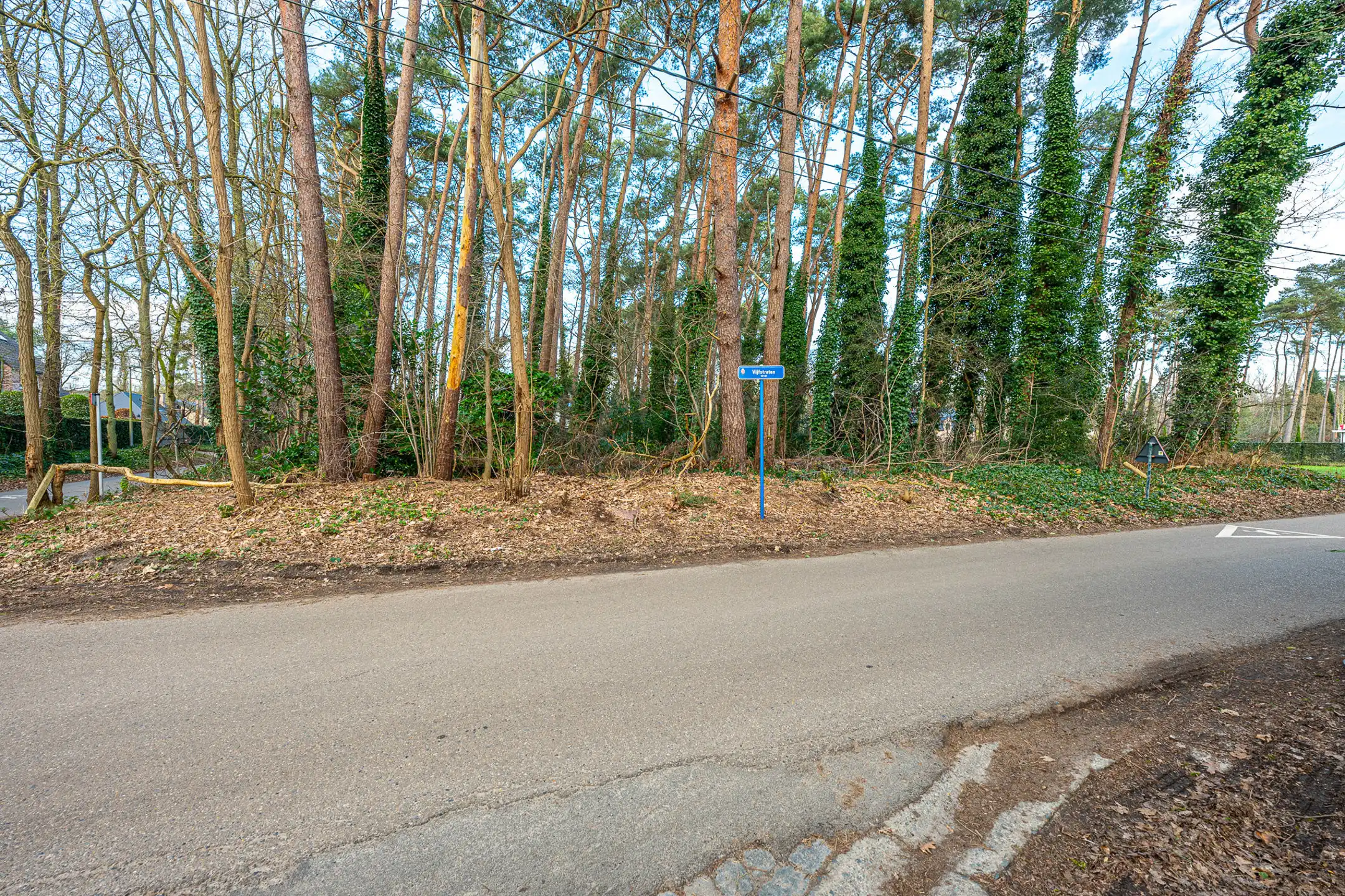 Prachtig gelegen bouwgrond in groene en residentiële omgeving foto 3