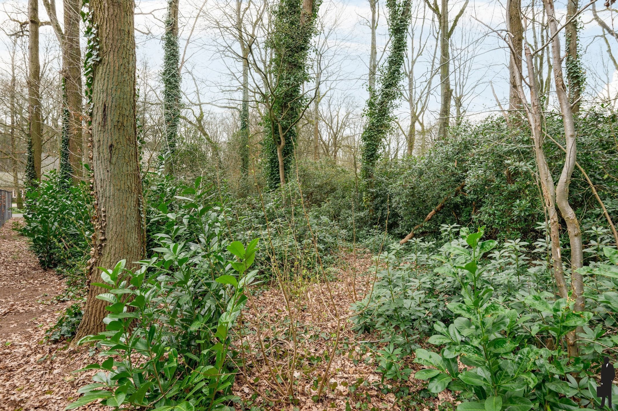 Bouwperceel in Hertebos 's Gravenwezel foto 10
